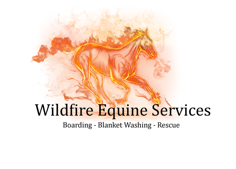 Wildfire Equine Services